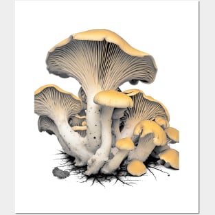 Fall Harvest: Chanterelle Mushrooms Posters and Art